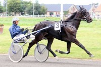 Unik Tamsen . arkivfoto Martin Timm Holmstav