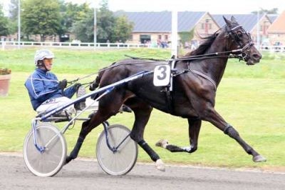 Unik Tamsen fรฅr sin monte-debut pรฅ mandag i Frankrig. . arkivfoto Martin Timm Holmstav