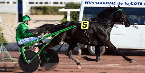 Universe de Pan  - leder fortsat efter den form den havde i fjor.Foto Gerard Forni