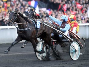Up and Quiuck med Jean Michel Bazire vandt Prix d'Amerique i fjor. Men kan den gentage sejren i et felt, hvor Bold Eagle er med?? Foto Gerard Forni