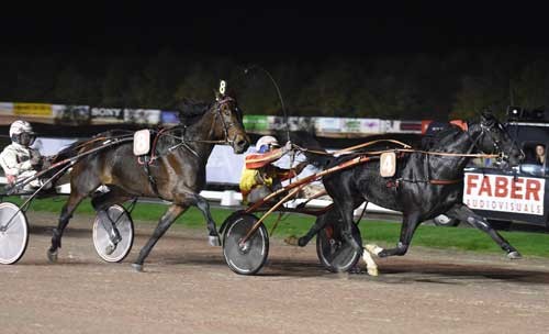 Voltigeur de Myrt med Gabriele Gelormini afviser Roert Bi med Robin Bakker og vinder Prijs der Giganten. Foto Gerard Forni