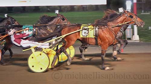 Valley-Victiry-2015---dead-heat