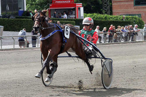 Vanilla Kronos med Steen Juul vandt kvalifikationsløbet på Lunden overlegent. Foto Martin Tomm Holmstav