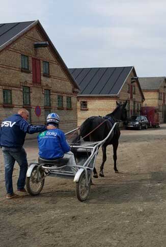 Peter Jensen kรธrte rundt med Verify Dust en hakv times tid for at sikre sig, at hoppen mental og fysiisk var i orden, Her taler han med Gordon Dahl.