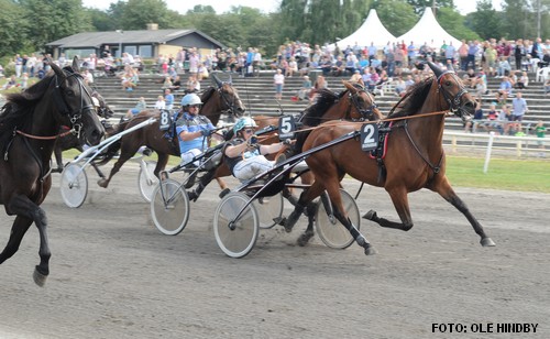 Victoria Sisa har vundet såvel Avlsløb som JVB 3-årings Hoppe Grand Prix i år. Foto Ole Hindby