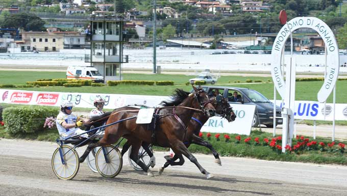 Vincennes vandt 2 afdeling - efter den opskrift, som også bkev brugt i finalen. Rgy på Mack Grace SM og ud midt i opløbet. Foto Gerard Forni