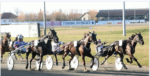 Indvendigt klafrer Volante sig først i mål til si tredje sejr i træk foran Viaks Møålgård og udv. Vega Simoni. Foto Martin Timm Holmstav