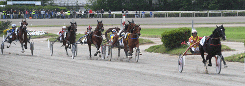 Voltigeur du Myrt med Gabrielle Gelormini vandt sikkert 1, heat i Lotteria. Foto Gerard Forni