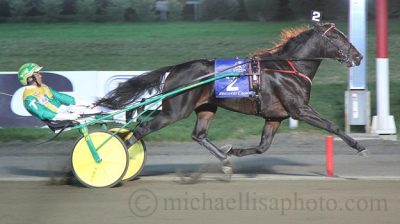 Walner med Tim Tetrick er kongen blandt 2-รฅringerne