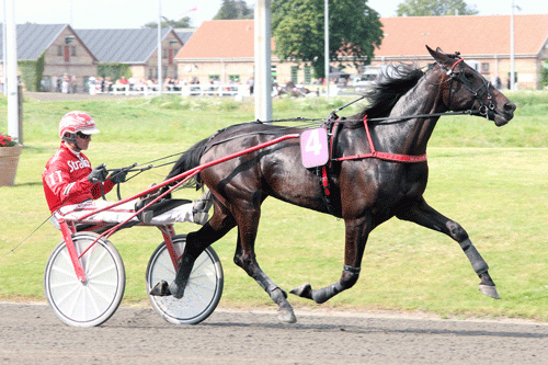 Wannabe med Peter Untersteiner. Foto Martin Timm Holmstav