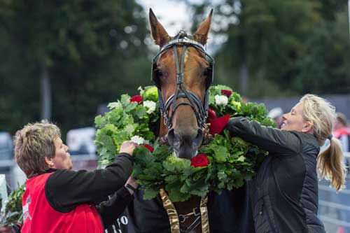 What a Babe laurbรฆrkranses efter sejren i Knud Jensen og Sรธns 4 รฅrs Mesterskab. Foto Photopassion.dk