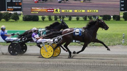 What the Hill suser forbi Victor Gio - Foto: Lisa Photo