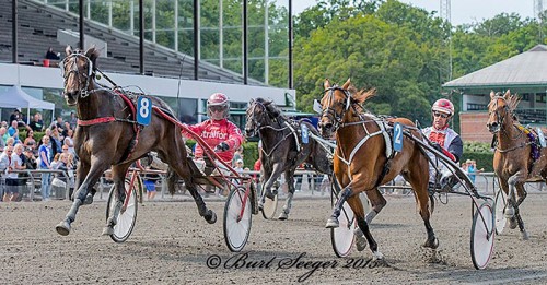 Whisper Line med Peter Untersteiner henviser Ups Simoni med Nicolaj Andersen til andenpladsen i Hoppe Prøven. Foto Burt Seeger