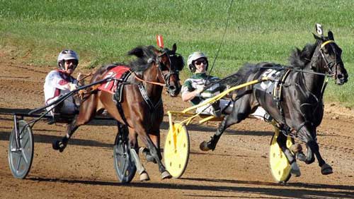 Udvendigt gรฅr Wild Honey forbi Mission Brief til sejr. Foto UStrotting