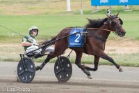 Wild Honey med Yannick Gingras  ved sejren  i Hambletonian Oaks. Foto Michael Lisa.