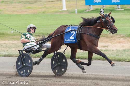 Wild Honey med Yannick Gingras  ved sejren  i Hambletonian Oaks. Foto Michael Lisa.
