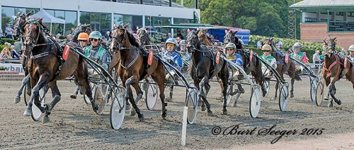 Derbyets storfavorit, instin Sisa med Jan Dahlgaard er fra Skive. Fรธrer er feltet an ud pรฅ sidste omgang i sรธndagens Derbyprรธve