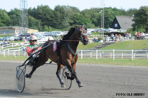 WInston Sisa med Steen Juul  vandt JVBs 3 årings Grand Prix. Foto Ole Hindby.