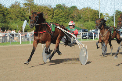 A Perfect Torkdahl med Steen Juul er Consolation-specialist. Arkivfoto Ole HIndby