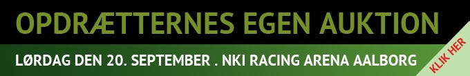 aalborgauktion1