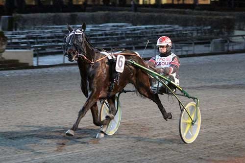 Adele Lar Marc med Nicolaj Andersen har en god chancen i V75 i aften pรฅ Halmstad. Foto Martin Timm HOlmstav