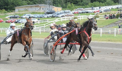 Frantz Praem-trænede A'IVor Torkdahl i fjor, vandt den bl.a. vandt 3 års Hoppe Prøven på HVB for Ken Ecce. Foto Ole HIndby