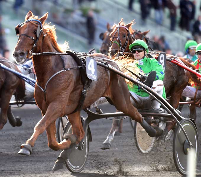 Aldin d'Ejaceul med Eric Raffiner storfavorit i eftermiddag  Arkiv Gerard Forni