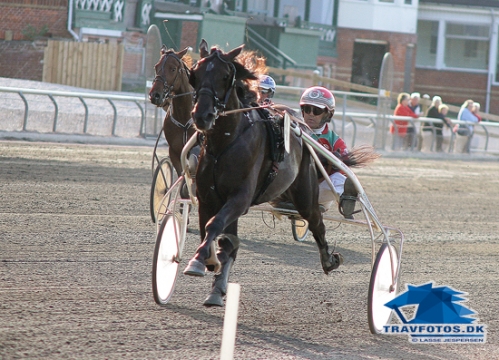 Verona Dirt med mormor til Aldrin Mo, som Steen Juul vandt sin anden dagssejr med