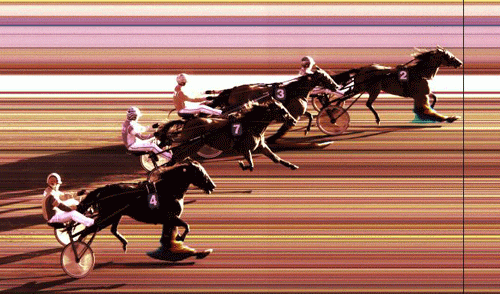 Aæpaca med Tom Erik Solberg vandt sin anden sejr i år.