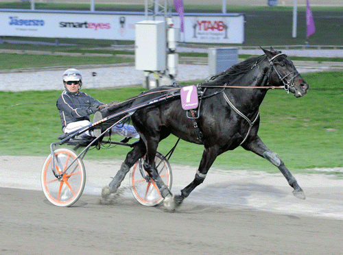 Amazing Dynamite med Ken Ecce vandt sikkert i ny rekord 1.12.5a/1640 m