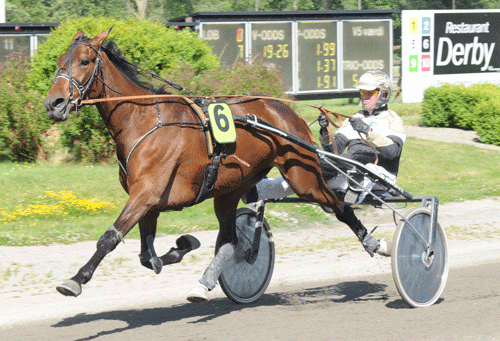 Vinder Amulet Hoppe Derbyet? Foto Ole Hindby