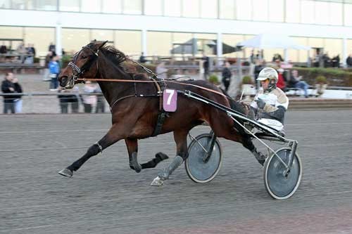 Amulet - Foto Martin Timm Holmstav