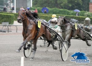 ENS Snapshot-datteren Angelina med Jeppe Juel vandt Auktionsløbet i 2014.
