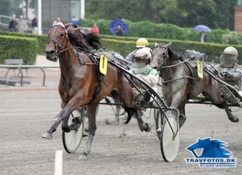 Angelina vandt sikkert for Jeppe Juel i 1.17.2a/1600 m i udtagelsesløbet på Lunden.