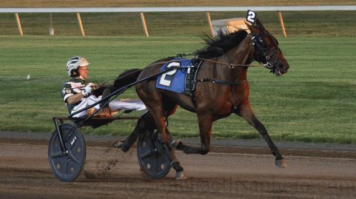 Ariana G har nu startet tre gange og har vundet hver gang