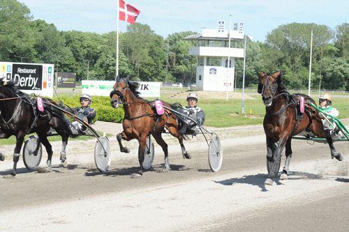 Armani VP med Jeppe Juel ude i banen stod for eftermidagens største overraskelse, da den vandt til 19 gange pengene foran iderbanens Azaming Dynamite og Apollo Damgaard midt i banen. Foto Ole Hindby
