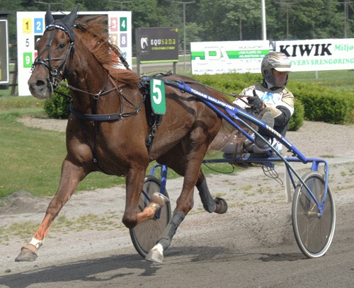 Aron the Baron med Birger Jørgensen er måske den, der kan true Axel i finalen. Foto Ole HIndby