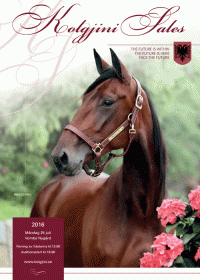 auktilsforside-Kolgjini-2016