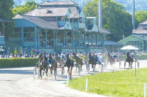 Den idylliske travbane i Baden, der ligger en lille times kørsel syd for Wien.