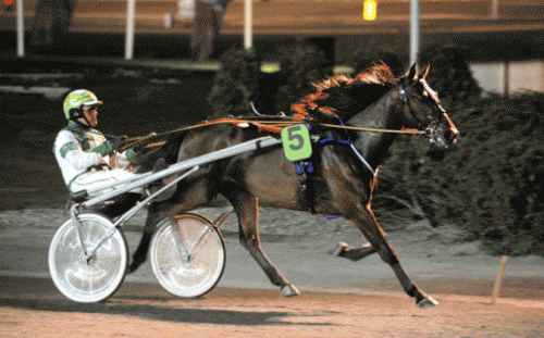 Banks med Michael Larsen er på vel tilbage i løbene og blev søndag godkendt i Prøveløb.  Foto Kanal 75