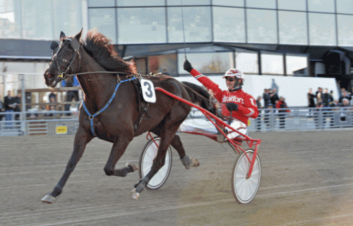 BBS Sugarlight med Peter Untersteiner er forsvarende vinder i Olympiatravet. Arkiv Kanal 75