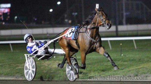 Bee a Magician bliver hjemme. Arkiv foto Lisa Photo.