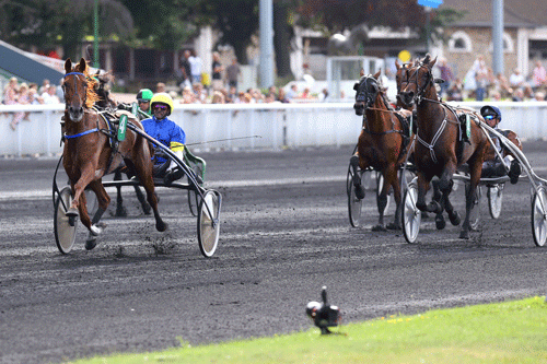 Belina Jossely med Jean Michel Bazire vandt let. Foto Gerard Forni