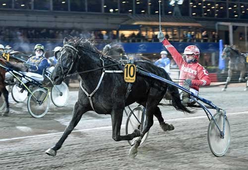 Peter Untersteiner vinder sin tredje dagssejr med 82-oddseren Berghults Leffe og demed bkev V75.gevinsten på næsten 15 millioner kroner