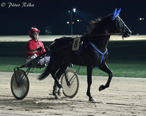 Fredag aften vandt Bitten Jensen med Poeta.
