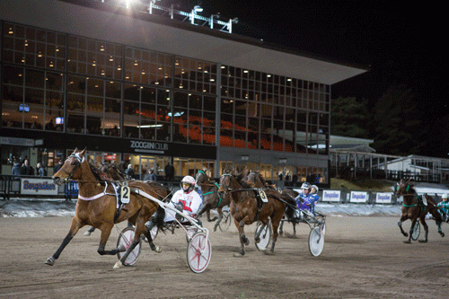 Blended Scitch med Per Linderoth vandt sikket V86-3 foran stiofavoritten Quid Pro Quo (skujlt) foto Kanal 75