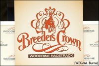 breeders-crown-woodbine-draw-370