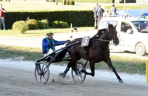 Brillantissime med Pierre Vercurysse vinder sikkert Grand Premio Continentale. Foto Gerard Forini