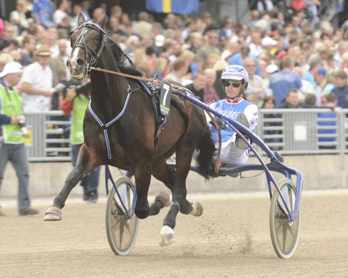 Brioni er far til to af de tyske 2-åringer
