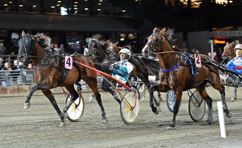 Bucks to Run gรฅr forbi Super Nice og vinder i 1.13.8a/2640 m. Foto Kanal 75